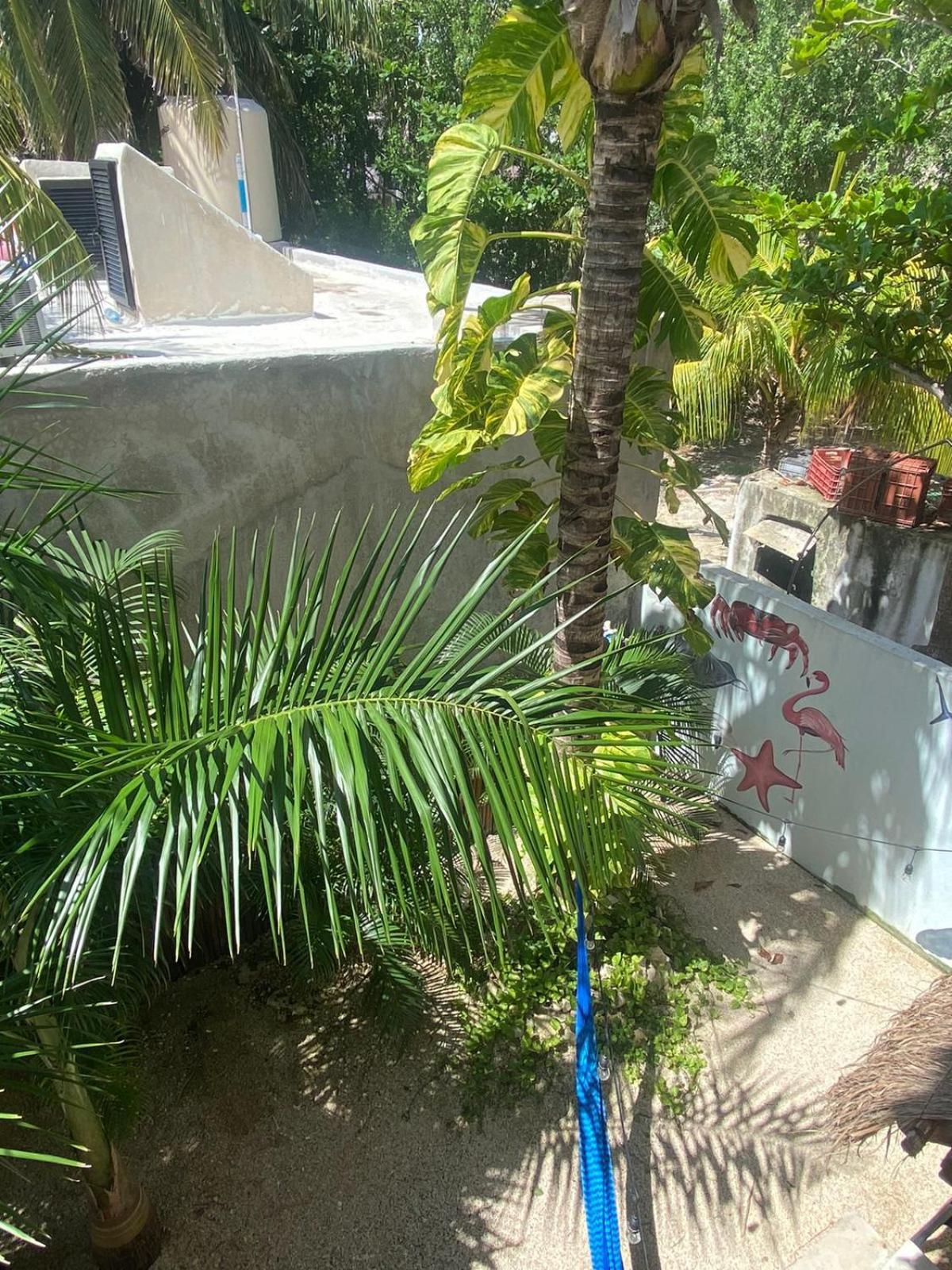 Hotel Pelecanus Suites Holbox Kültér fotó