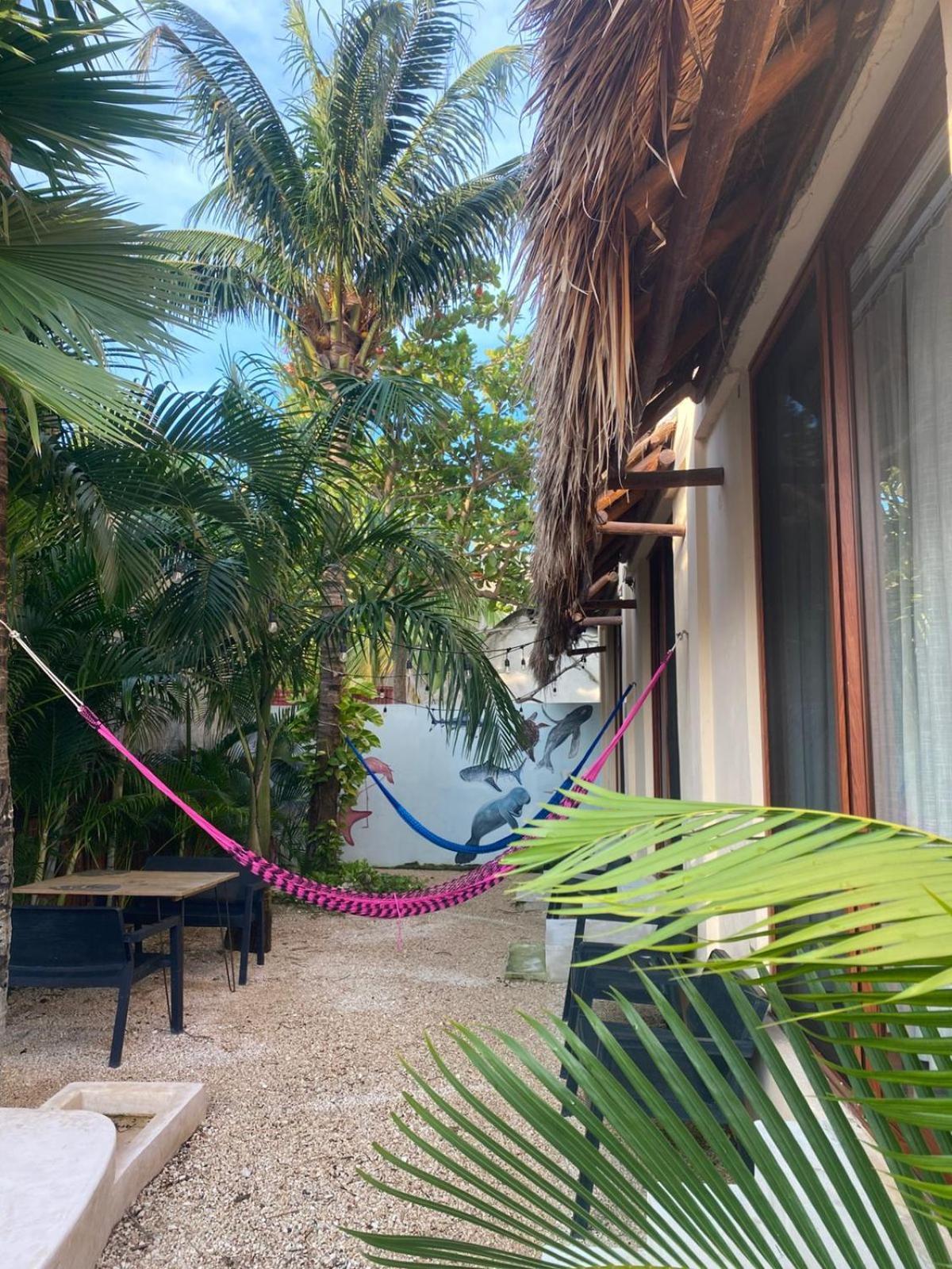 Hotel Pelecanus Suites Holbox Kültér fotó